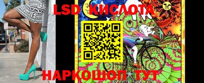 spice Изобильный