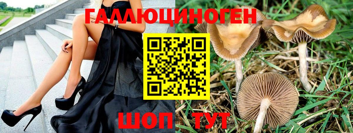 даркнет сайт  Псилоцибиновые грибы Psilocybine cubensis  Вход с VPN  Лысьва  Галлюциногенные грибы GOLDEN TEACHER 